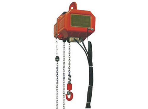 雙鳥環(huán)鏈電動(dòng)葫蘆有哪些保護(hù)裝置